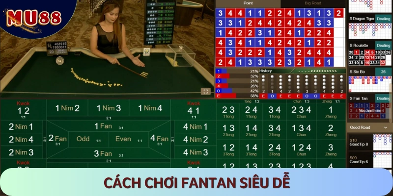 Cách chơi Fan Tan dễ hiểu cho tân binh lần đầu thử