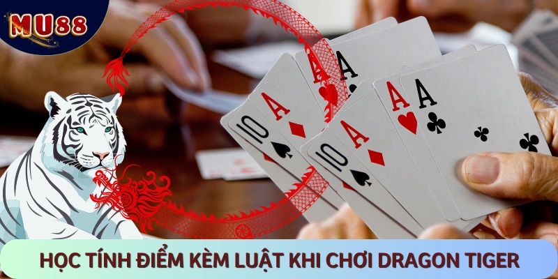 Nguyên tắc chơi và tính điểm Rồng Hổ dành cho tân thủ MU88