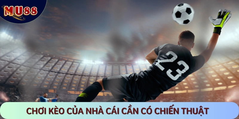 Các mẹo gia tăng tỷ lệ thắng khi cá cược
