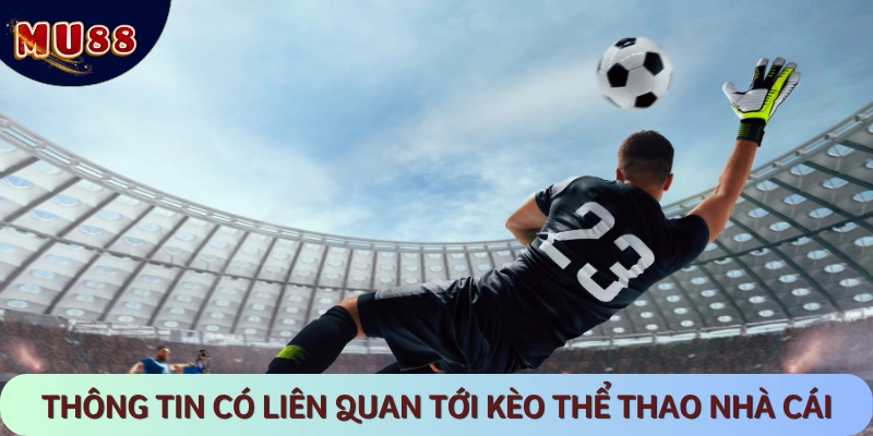 Định nghĩ về kèo nhà cái thể thao